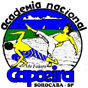 Capoeira Sorocaba